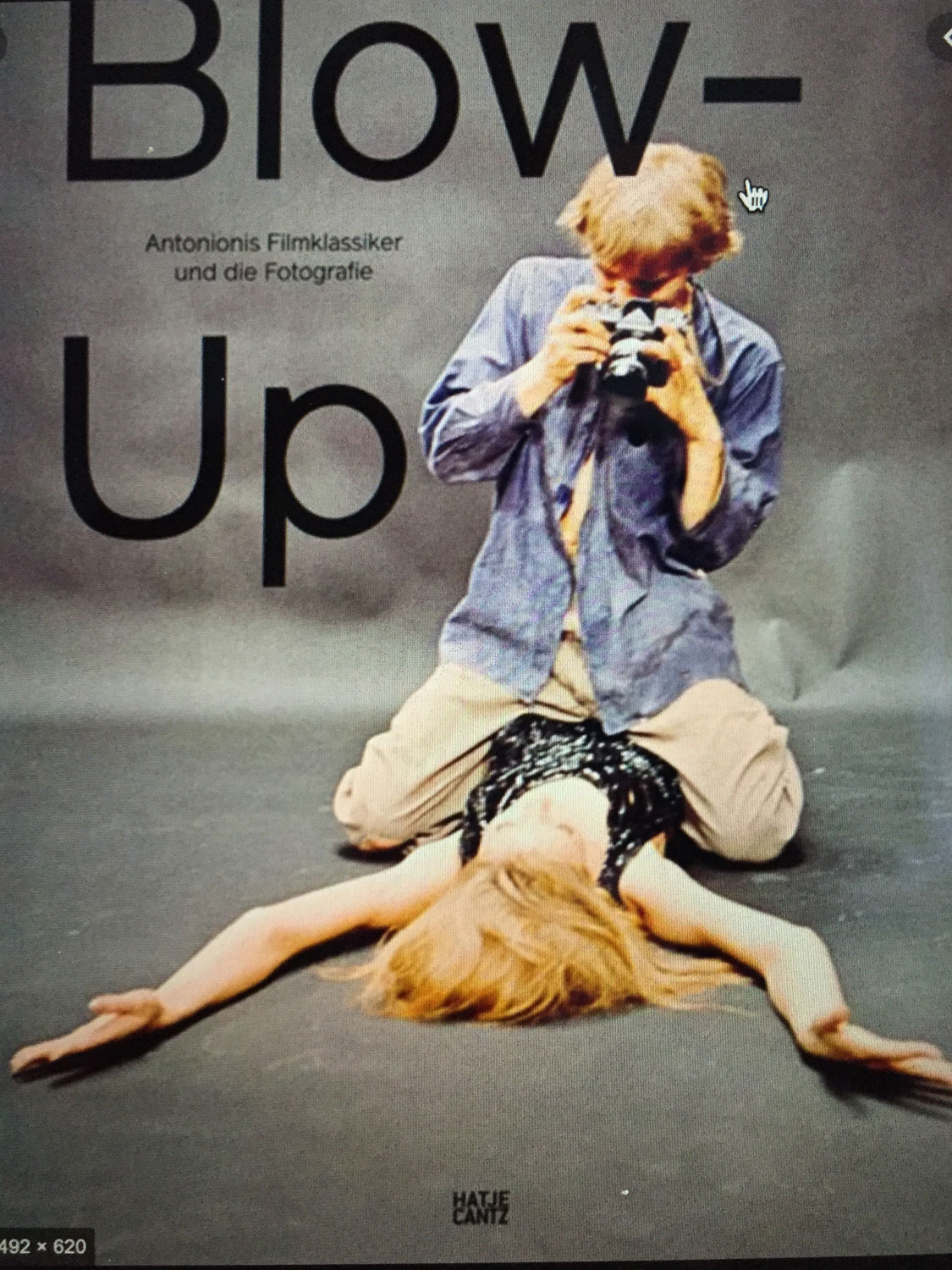 Titel des Buches über den Film "Blow up"