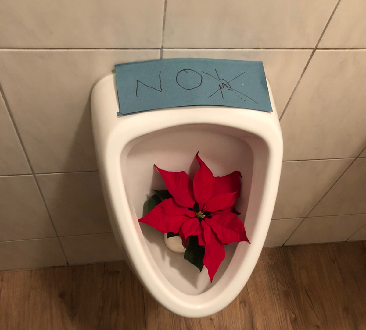 Ein stillgelegtes Urinal mit Weihnachtsstern in der Schüssel
