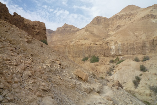 Wüstenlandschaft in der Umgebung von Djebel Mekter